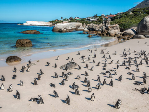 F01FSZA-day 4- Boulders