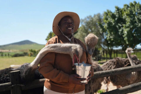 F01FSZA-day 8- Cape Town