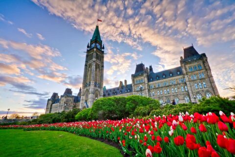 Parliament Hill in may
