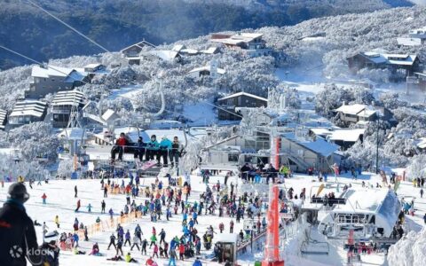 xcad1ooys4oys46xc4yj