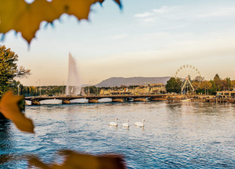 csm_Header_automne_2_85837b46f8